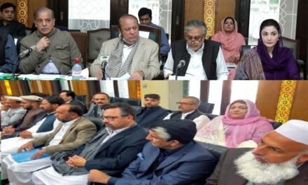8 فروری کو ہونے والے عام انتخابات کے لئے مسلم لیگ ن سوات کے امیدواروں کا انٹرویو مکمل