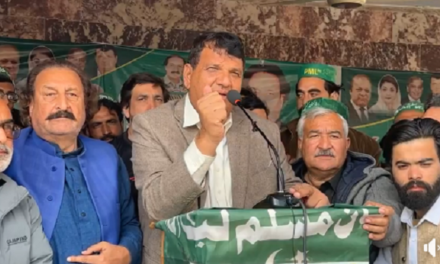 سوات میں بغیر اقتدار کے پی ٹی آئی سے زیادہ ترقیاتی و تعمیراتی کام کئے۔امیر مقام