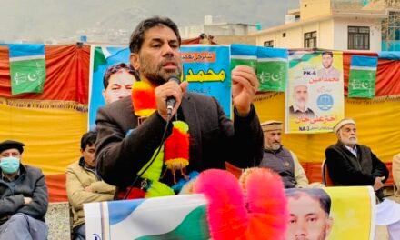 بہت سے بنیادی کام ہے جس سے سواتی عوام محروم ہے ان کا ازلہ کرنا ہوگا۔ محمد آمین