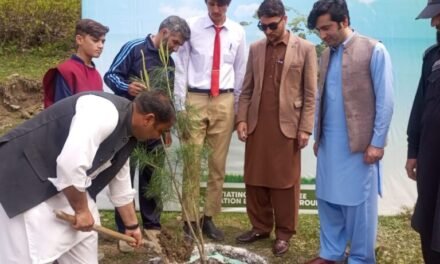 ملم جبہ میں ماحولیاتی تبدیلیوں کے اثرات کم کرنے کیلئے شجر کاری مہم