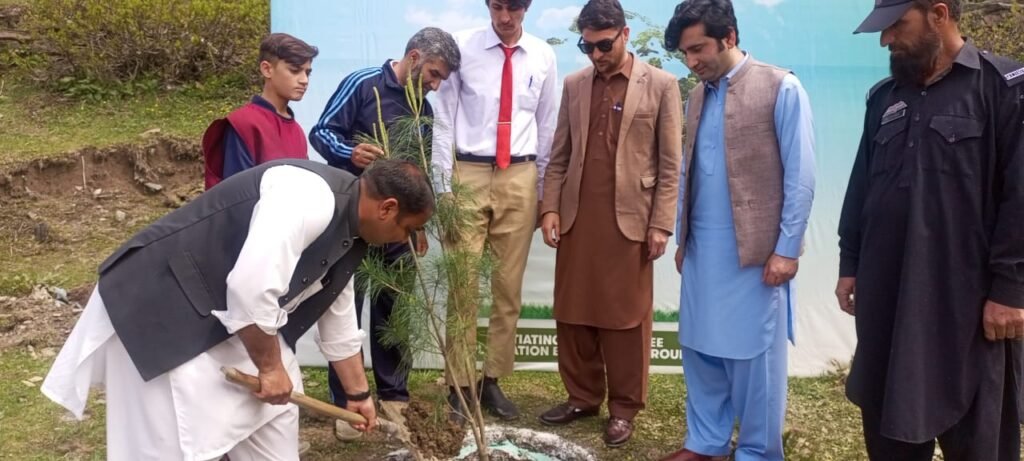 ملم جبہ میں ماحولیاتی تبدیلیوں کے اثرات کم کرنے کیلئے شجر کاری مہم