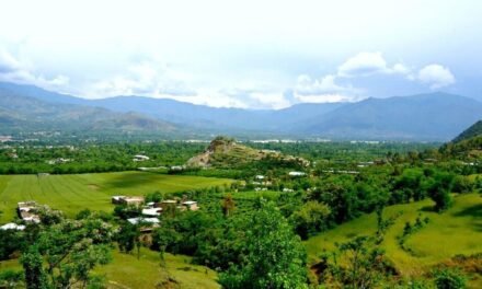 درشخیلہ (سوات) تہذیب کے دریچے میں (تبصرہ)