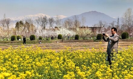 وادی سوات میں موسم بہار کی آمد، وادی کا حسن نکھر کر سامنے آگیا