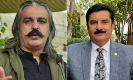 گورنر خیبر پختونخوا فیصل کریم کنڈی نے وزیراعلیٰ علی امین گنڈا پور کوکھانے کی دعوت دے دی