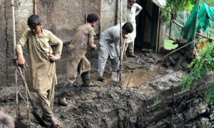 سوات ،طوفانی بارشوں نے تباہی مچا دی،سیرتیلگرام میں گھروں اور جانوروں کو نقصان