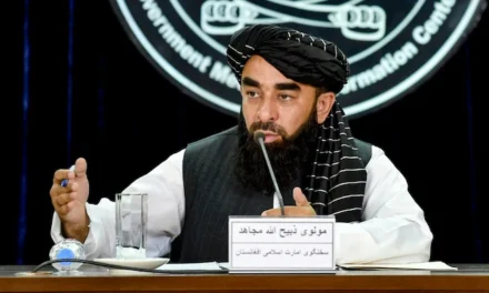افغانستان نے پاکستان اور ٹی ٹی پی میں ثالثی کی پیشکش کر دی