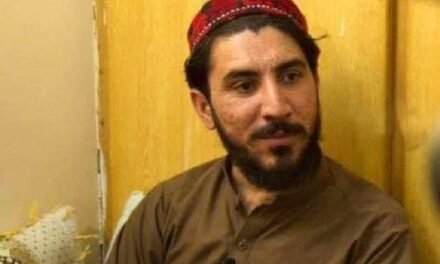 پختون عدالت میں اپنے وسائل اور مسائل کا حل نکالیں گے، منظور پشتین