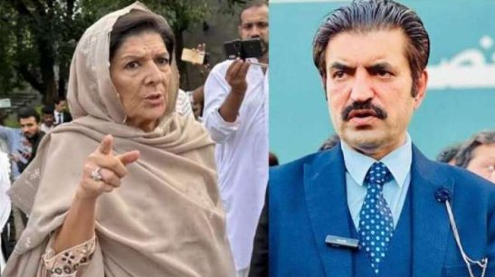 بانی پی ٹی آئی کی بہن علیمہ خان کا پارٹی میں کیا کام،وہ تو اسٹیبلشمنٹ کی ٹاؤٹ ہے،شیر افضل مروت