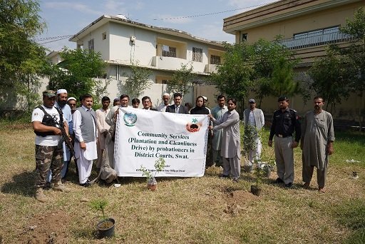 سوات میں پروبیشنرز کی کمیونٹی سروس سرگرمی، شجرکاری اور صفائی مہم کا انعقاد