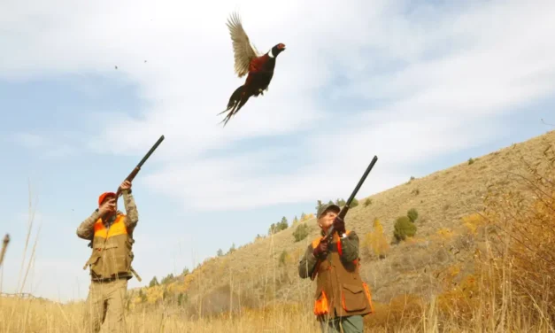 خیبرپختونخوا میں بطخوں اور آبی پرندوں کے شکار کے لیے نئے ضابطے جاری