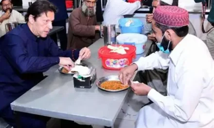 وزیر اعلیٰ سہیل آفریدی کا پناہ گاہوں کے لئے درکار فنڈز فوری طور پر فراہم کرنے کا حکم