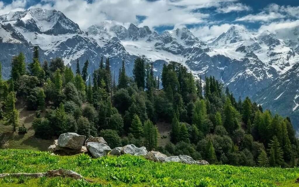 مانکیال ویلی سوات،وادیٔ جنت جسےقدرت نے سبزہ و گل سے سینچا