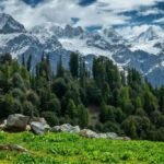 مانکیال ویلی سوات،وادیٔ جنت جسےقدرت نے سبزہ و گل سے سینچا