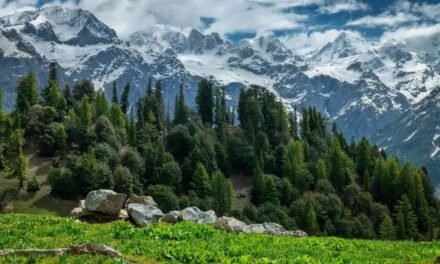 مانکیال ویلی سوات،وادیٔ جنت جسےقدرت نے سبزہ و گل سے سینچا