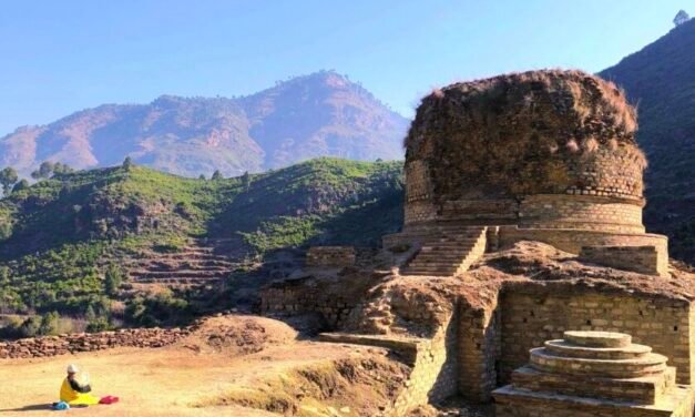 سوات کے علاقے ٹوکردرہ میں کھدائی کے دوران بدھ مت دور کے قدیم آثار دریافت